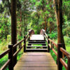 Alishen,Qingjing and Sun moon lake 4 day tour：圖片 7