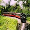 Alishen,Tainan,Kaohsiung,Keeting 7D6N 阿里山,台南,高雄,墾丁7天6夜：圖片 12