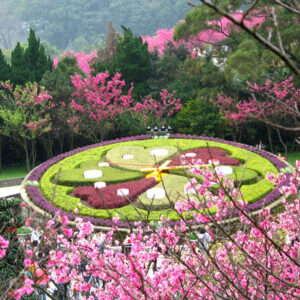 Yangminshen-Tiaoshi-Tamsui | 阳明山-跳石车站-淡水