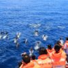 Yilan and Hualien 5 day tour 宜兰与花莲五日游：圖片 7