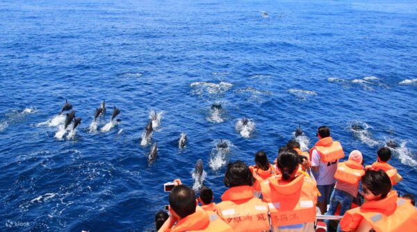 Yilan and Hualien 5 day tour 宜兰与花莲五日游：圖片 7
